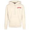 Basic hoodie Thumbnail