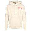 Basic hoodie Thumbnail