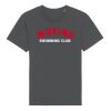 Rocker the essential unisex t-shirt (STTU758) Thumbnail